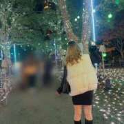 ヒメ日記 2025/12/19 11:14 投稿 おもち シルクハット