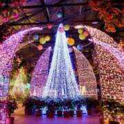 ヒメ日記 2025/12/22 10:46 投稿 こずえ 西川口おかあさん