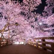 ヒメ日記 2026/04/09 12:16 投稿 こずえ 西川口おかあさん