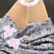 ヒメ日記 2025/12/20 13:53 投稿 ふゆ マダム可憐