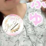 ヒメ日記 2026/04/28 12:06 投稿 ふゆ マダム可憐