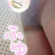 ふゆ 出勤しました マダム可憐