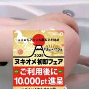 ヒメ日記 2026/01/02 13:48 投稿 はる 即アポマダム～名古屋店～