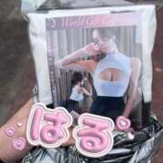 ヒメ日記 2026/01/29 14:21 投稿 はる 即アポ奥さん〜名古屋店〜