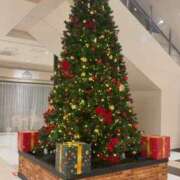 ヒメ日記 2025/12/21 21:21 投稿 すみれ 脱がされたい人妻 成田店