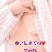 ヒメ日記 2025/12/26 12:20 投稿 すみれ 脱がされたい人妻 成田店