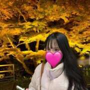 ヒメ日記 2025/12/27 19:00 投稿 れいな 京都出張メンズエステChou Chou（シュシュ)