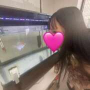 ヒメ日記 2026/01/15 19:33 投稿 れいな 京都出張メンズエステChou Chou（シュシュ)