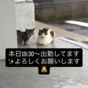 ヒメ日記 2026/04/25 20:20 投稿 れいな 京都出張メンズエステChou Chou（シュシュ)