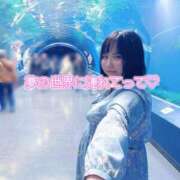 ヒメ日記 2026/03/10 16:53 投稿 まる ちゃんこ藤沢茅ヶ崎店