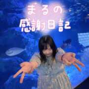 ヒメ日記 2026/04/23 05:12 投稿 まる ちゃんこ藤沢茅ヶ崎店