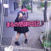 ヒメ日記 2026/06/15 21:32 投稿 まる ちゃんこ藤沢茅ヶ崎店
