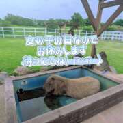 ヒメ日記 2026/09/01 16:52 投稿 まる ちゃんこ藤沢茅ヶ崎店