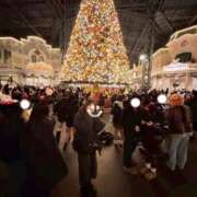 ヒメ日記 2025/12/23 20:27 投稿 さな ごほうびSPA 新宿店