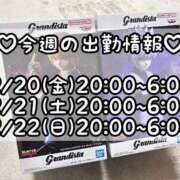 ヒメ日記 2026/02/15 08:03 投稿 ほたる もみもみワンダーランド