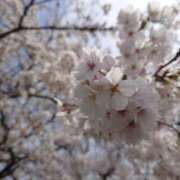 ヒメ日記 2026/03/06 12:00 投稿 ゆうり Respect