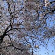 ゆうり やっと Respect