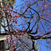 あおい 久しぶりだよー♡ 錦糸町ミセスアロマ（ユメオト）