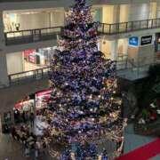 ヒメ日記 2025/12/26 12:12 投稿 七瀬あいみ シロガネーゼ