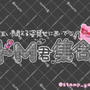 河原（かわはら） M男君集合 丸妻 錦糸町店