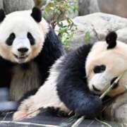 ヒメ日記 2026/01/25 10:08 投稿 河原（かわはら） 丸妻 錦糸町店