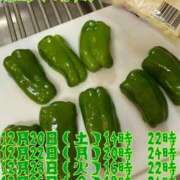 にこ 出勤情報ッス 君とふわふわプリンセスin熊谷