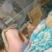 ヒメ日記 2025/12/21 23:09 投稿 にこ 君とふわふわプリンセスin熊谷