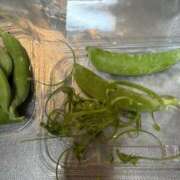 ヒメ日記 2025/12/27 10:58 投稿 にこ 君とふわふわプリンセスin熊谷