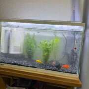 ヒメ日記 2026/02/01 12:44 投稿 にこ 君とふわふわプリンセスin熊谷