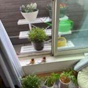 ヒメ日記 2026/02/15 14:10 投稿 にこ 君とふわふわプリンセスin熊谷