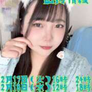 にこ 出勤情報💩 君とふわふわプリンセスin熊谷