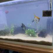 ヒメ日記 2026/02/24 15:32 投稿 にこ 君とふわふわプリンセスin熊谷