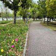 ヒメ日記 2026/03/27 13:54 投稿 にこ 君とふわふわプリンセスin熊谷