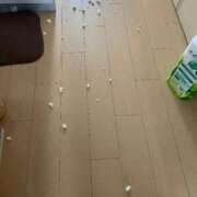 ヒメ日記 2026/03/30 11:50 投稿 にこ 君とふわふわプリンセスin熊谷