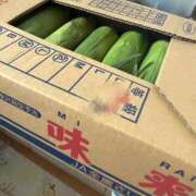 ヒメ日記 2026/06/23 15:42 投稿 にこ 君とふわふわプリンセスin熊谷