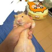 ヒメ日記 2026/07/22 17:27 投稿 にこ 君とふわふわプリンセスin熊谷