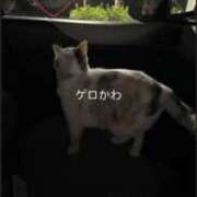 ヒメ日記 2026/10/11 21:58 投稿 にこ 君とふわふわプリンセスin熊谷