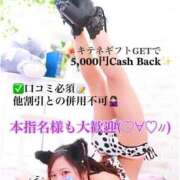 ヒメ日記 2026/01/29 10:00 投稿 軟体ドМ潮吹き娘☆きな にゃんだ☆full☆MIX（にゃんだふるみっくす）