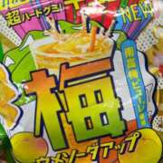 ヒメ日記 2026/06/11 19:04 投稿 軟体ドМ潮吹き娘☆きな にゃんだ☆full☆MIX（にゃんだふるみっくす）