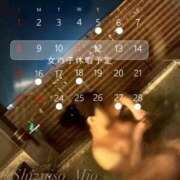 ヒメ日記 2026/02/06 16:40 投稿 上野みお 五十路マダム静岡店（カサブランカG）