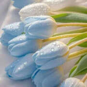 ヒメ日記 2026/04/24 15:47 投稿 もも 船橋・西船橋ちゃんこ