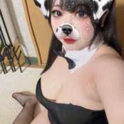 ヒメ日記 2026/04/12 15:55 投稿 すずか 船橋・西船橋ちゃんこ