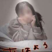 ヒメ日記 2026/02/16 08:32 投稿 天真心 五十路マダム富山店(カサブランカグループ)