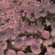 ヒメ日記 2026/02/24 20:11 投稿 麗美（れみ） エスペランサ新館