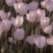 ヒメ日記 2026/02/26 12:21 投稿 麗美（れみ） エスペランサ新館