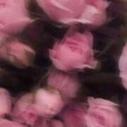 ヒメ日記 2026/02/26 14:39 投稿 麗美（れみ） エスペランサ新館