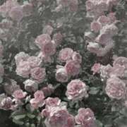 麗美（れみ） お礼💌Yさん エスペランサ新館