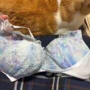 ヒメ日記 2026/03/10 02:50 投稿 こころ 熟女の風俗最終章 蒲田店