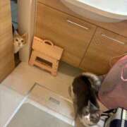 ヒメ日記 2026/03/28 01:40 投稿 こころ 熟女の風俗最終章 蒲田店