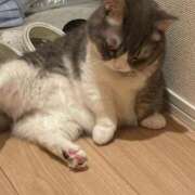 ヒメ日記 2026/07/21 22:31 投稿 こころ 熟女の風俗最終章 蒲田店